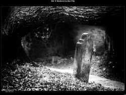 IMG027 (1) (1) (1) (1) (1) (1) (1) (1) (1) (1) (1) (1) (1) (1) (1) (1) (1) (1) (1) (1) (1) (1) (1) (1) (1) (1) (1) (1) (1) (1) (1) (1) (1) (1) (1) (1) (1) (1) (1)