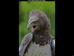 IMG028 (1) (1) (1) (1) (1) (1)