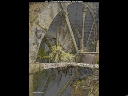 IMG028 (1) (1) (1) (1) (1) (1) (1) (1)