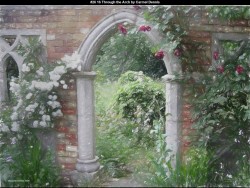 IMG028 (1) (1) (1) (1) (1) (1) (1) (1) (1)