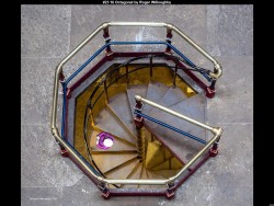 IMG028 (1) (1) (1) (1) (1) (1) (1) (1) (1) (1) (1) (1) (1)