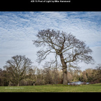 IMG028 (1) (1) (1) (1) (1) (1) (1) (1) (1) (1) (1) (1) (1) (1) (1) (1) (1)