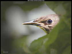 IMG028 (1) (1) (1) (1) (1) (1) (1) (1) (1) (1) (1) (1) (1) (1) (1) (1) (1) (1)