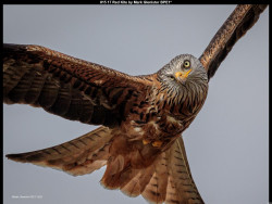 IMG028 (1) (1) (1) (1) (1) (1) (1) (1) (1) (1) (1) (1) (1) (1) (1) (1) (1) (1) (1) (1) (1)