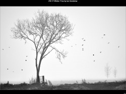 IMG028 (1) (1) (1) (1) (1) (1) (1) (1) (1) (1) (1) (1) (1) (1) (1) (1) (1) (1) (1) (1) (1) (1)