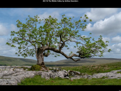 IMG028 (1) (1) (1) (1) (1) (1) (1) (1) (1) (1) (1) (1) (1) (1) (1) (1) (1) (1) (1) (1) (1) (1) (1) (1) (1) (1) (1) (1)