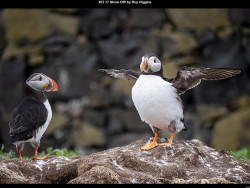 IMG028 (1) (1) (1) (1) (1) (1) (1) (1) (1) (1) (1) (1) (1) (1) (1) (1) (1) (1) (1) (1) (1) (1) (1) (1) (1) (1) (1) (1) (1) (1) (1) (1) (1)