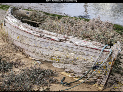 IMG028 (1) (1) (1) (1) (1) (1) (1) (1) (1) (1) (1) (1) (1) (1) (1) (1) (1) (1) (1) (1) (1) (1) (1) (1) (1) (1) (1) (1) (1) (1) (1) (1) (1) (1)