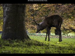 IMG028 (1) (1) (1) (1) (1) (1) (1) (1) (1) (1) (1) (1) (1) (1) (1) (1) (1) (1) (1) (1) (1) (1) (1) (1) (1) (1) (1) (1) (1) (1) (1) (1) (1) (1) (1) (1)