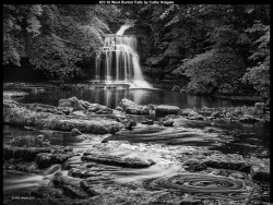 IMG028 (1) (1) (1) (1) (1) (1) (1) (1) (1) (1) (1) (1) (1) (1) (1) (1) (1) (1) (1) (1) (1) (1) (1) (1) (1) (1) (1) (1) (1) (1) (1) (1) (1) (1) (1) (1) (1) (1) (1)