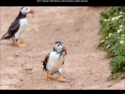 IMG029 (1) (1) (1) (1) (1) (1)