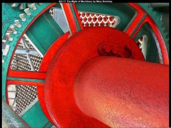 IMG029 (1) (1) (1) (1) (1) (1) (1) (1) (1) (1)