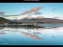 IMG029 (1) (1) (1) (1) (1) (1) (1) (1) (1) (1) (1) (1)