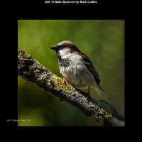 IMG029 (1) (1) (1) (1) (1) (1) (1) (1) (1) (1) (1) (1) (1) (1) (1) (1) (1)