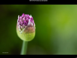 IMG029 (1) (1) (1) (1) (1) (1) (1) (1) (1) (1) (1) (1) (1) (1) (1) (1) (1) (1) (1) (1)