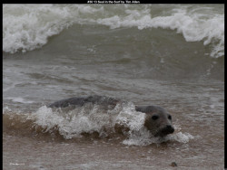 IMG029 (1) (1) (1) (1) (1) (1) (1) (1) (1) (1) (1) (1) (1) (1) (1) (1) (1) (1) (1) (1) (1) (1) (1) (1)