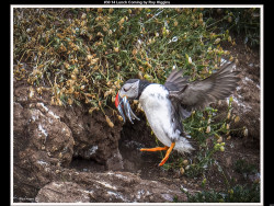 IMG029 (1) (1) (1) (1) (1) (1) (1) (1) (1) (1) (1) (1) (1) (1) (1) (1) (1) (1) (1) (1) (1) (1) (1) (1) (1) (1) (1) (1) (1)