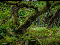 IMG029 (1) (1) (1) (1) (1) (1) (1) (1) (1) (1) (1) (1) (1) (1) (1) (1) (1) (1) (1) (1) (1) (1) (1) (1) (1) (1) (1) (1) (1) (1) (1) (1) (1)