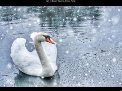 IMG029 (1) (1) (1) (1) (1) (1) (1) (1) (1) (1) (1) (1) (1) (1) (1) (1) (1) (1) (1) (1) (1) (1) (1) (1) (1) (1) (1) (1) (1) (1) (1) (1) (1) (1) (1) (1)