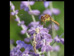 IMG029 (1) (1) (1) (1) (1) (1) (1) (1) (1) (1) (1) (1) (1) (1) (1) (1) (1) (1) (1) (1) (1) (1) (1) (1) (1) (1) (1) (1) (1) (1) (1) (1) (1) (1) (1) (1) (1) (1)