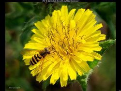 IMG029 (1) (1) (1) (1) (1) (1) (1) (1) (1) (1) (1) (1) (1) (1) (1) (1) (1) (1) (1) (1) (1) (1) (1) (1) (1) (1) (1) (1) (1) (1) (1) (1) (1) (1) (1) (1) (1) (1) (1) (1) (1) (1)