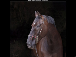 IMG029 (1) (1) (1) (1) (1) (1) (1) (1) (1) (1) (1) (1) (1) (1) (1) (1) (1) (1) (1) (1) (1) (1) (1) (1) (1) (1) (1) (1) (1) (1) (1) (1) (1) (1) (1) (1) (1) (1) (1) (1) (1) (1) (1) (1) (1)