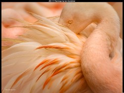 IMG030 (1) (1) (1) (1) (1) (1)