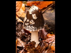 IMG030 (1) (1) (1) (1) (1) (1) (1) (1) (1)