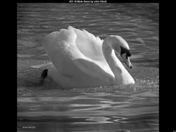 IMG030 (1) (1) (1) (1) (1) (1) (1) (1) (1) (1) (1) (1) (1) (1)