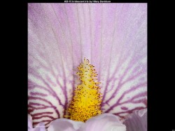 IMG030 (1) (1) (1) (1) (1) (1) (1) (1) (1) (1) (1) (1) (1) (1) (1)