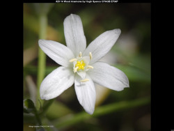 IMG030 (1) (1) (1) (1) (1) (1) (1) (1) (1) (1) (1) (1) (1) (1) (1) (1) (1) (1)