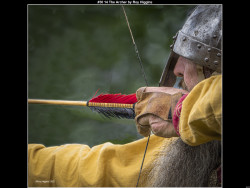 IMG030 (1) (1) (1) (1) (1) (1) (1) (1) (1) (1) (1) (1) (1) (1) (1) (1) (1) (1) (1) (1) (1) (1) (1) (1) (1) (1) (1) (1) (1)