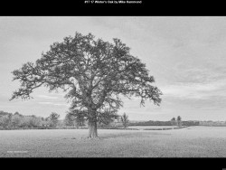 IMG030 (1) (1) (1) (1) (1) (1) (1) (1) (1) (1) (1) (1) (1) (1) (1) (1) (1) (1) (1) (1) (1) (1) (1) (1) (1) (1) (1) (1) (1) (1)