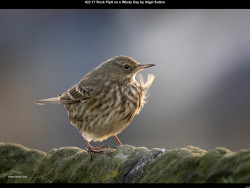 IMG030 (1) (1) (1) (1) (1) (1) (1) (1) (1) (1) (1) (1) (1) (1) (1) (1) (1) (1) (1) (1) (1) (1) (1) (1) (1) (1) (1) (1) (1) (1) (1) (1) (1) (1) (1) (1)