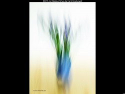 IMG031 (1) (1) (1) (1) (1) (1) (1) (1)