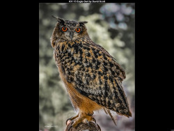 IMG031 (1) (1) (1) (1) (1) (1) (1) (1) (1) (1) (1) (1) (1) (1) (1) (1) (1) (1) (1) (1) (1) (1) (1) (1) (1) (1) (1) (1)