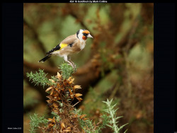 IMG031 (1) (1) (1) (1) (1) (1) (1) (1) (1) (1) (1) (1) (1) (1) (1) (1) (1) (1) (1) (1) (1) (1) (1) (1) (1) (1) (1) (1) (1) (1) (1) (1) (1) (1) (1)