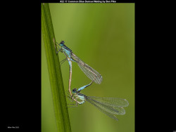 IMG031 (1) (1) (1) (1) (1) (1) (1) (1) (1) (1) (1) (1) (1) (1) (1) (1) (1) (1) (1) (1) (1) (1) (1) (1) (1) (1) (1) (1) (1) (1) (1) (1) (1) (1) (1) (1)