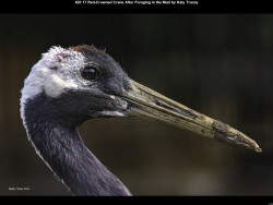 IMG031 (1) (1) (1) (1) (1) (1) (1) (1) (1) (1) (1) (1) (1) (1) (1) (1) (1) (1) (1) (1) (1) (1) (1) (1) (1) (1) (1) (1) (1) (1) (1) (1) (1) (1) (1) (1) (1) (1) (1) (1) (1) (1) (1) (1)