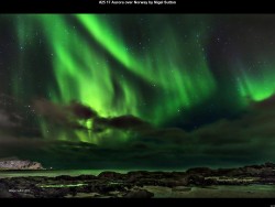 IMG032 (1) (1) (1) (1) (1) (1)