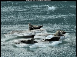 IMG032 (1) (1) (1) (1) (1) (1) (1) (1) (1) (1)