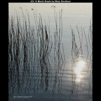 IMG032 (1) (1) (1) (1) (1) (1) (1) (1) (1) (1) (1) (1) (1) (1) (1) (1) (1)