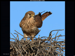 IMG032 (1) (1) (1) (1) (1) (1) (1) (1) (1) (1) (1) (1) (1) (1) (1) (1) (1) (1) (1) (1) (1) (1) (1) (1) (1) (1) (1) (1) (1) (1) (1) (1)