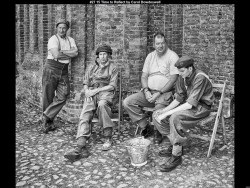 IMG033 (1) (1) (1) (1) (1)