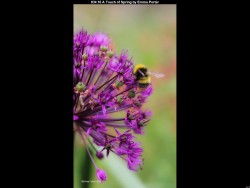 IMG033 (1) (1) (1) (1) (1) (1)