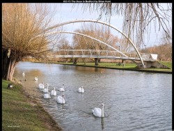 IMG033 (1) (1) (1) (1) (1) (1) (1) (1) (1)