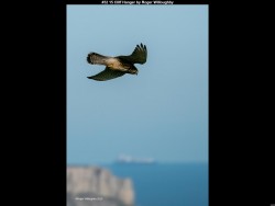 IMG033 (1) (1) (1) (1) (1) (1) (1) (1) (1) (1) (1) (1) (1)