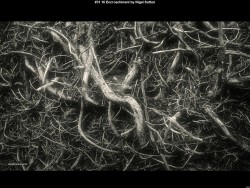 IMG033 (1) (1) (1) (1) (1) (1) (1) (1) (1) (1) (1) (1) (1) (1)