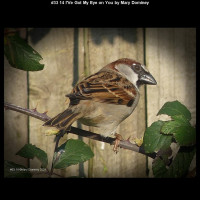 IMG033 (1) (1) (1) (1) (1) (1) (1) (1) (1) (1) (1) (1) (1) (1) (1) (1) (1)