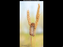 IMG033 (1) (1) (1) (1) (1) (1) (1) (1) (1) (1) (1) (1) (1) (1) (1) (1) (1) (1) (1)